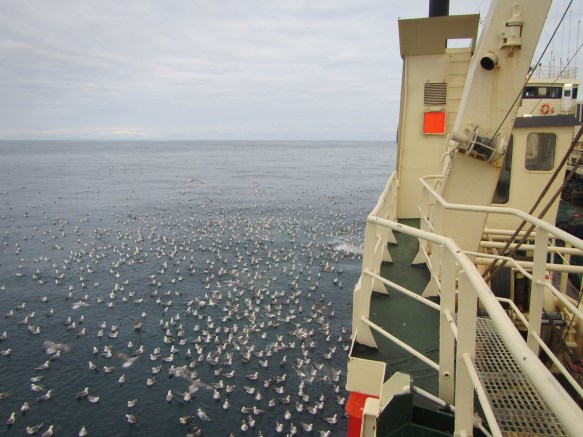 ???????????????????????????????