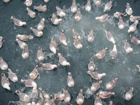 ???????????????????????????????