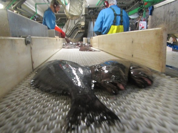 ???????????????????????????????