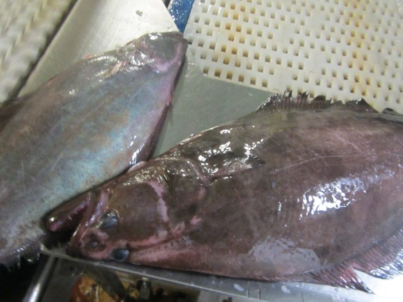 ???????????????????????????????