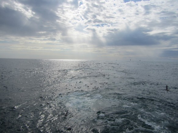 ???????????????????????????????