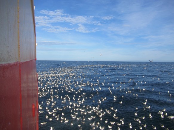 ???????????????????????????????