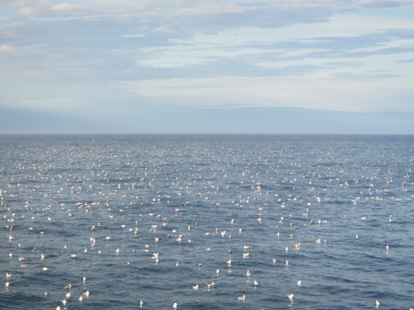 ???????????????????????????????