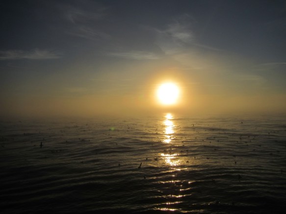 ???????????????????????????????