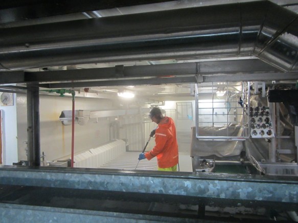 ???????????????????????????????