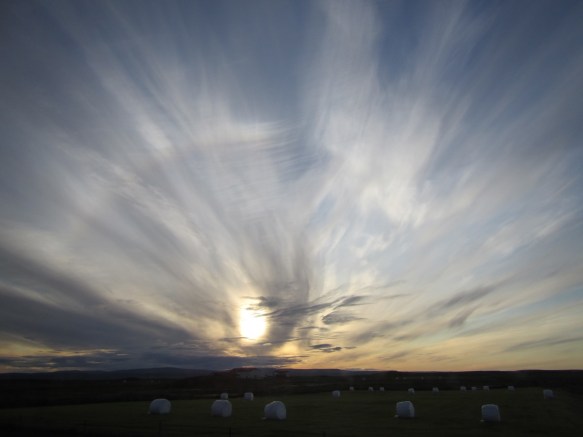 ???????????????????????????????