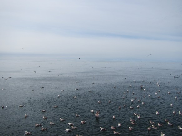 ???????????????????????????????