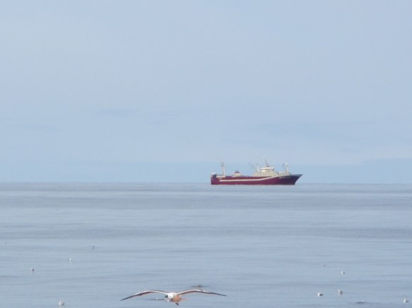 ???????????????????????????????