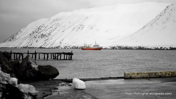mars koma og brottför (1)