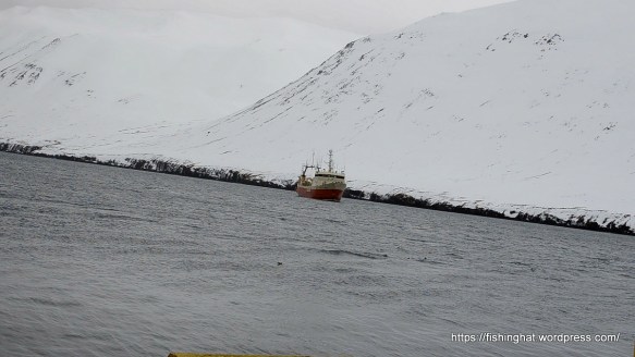 mars koma og brottför (2)