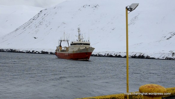 mars koma og brottför (3)