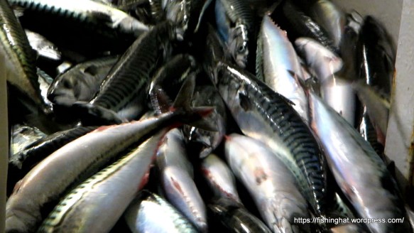 MVI_8858.MOV (0_00_02) 000019