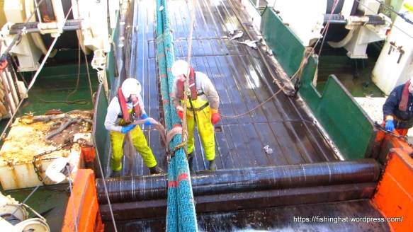 MVI_9723.MOV (0_00_05) 000036