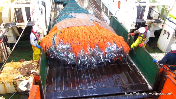 MVI_9723.MOV (0_01_22) 000037