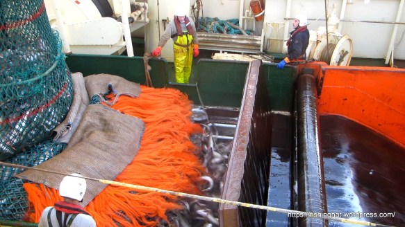 MVI_9724.MOV (0_00_14) 000038