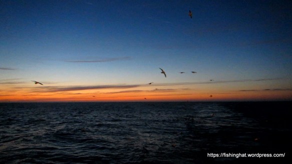 MVI_9767.MOV (0_00_18) 000039