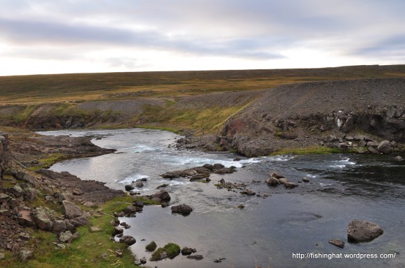 fossbreiða dammur fosshylur