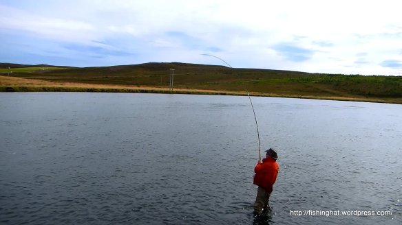 MVI_0295.MOV (0_00_41) 000127