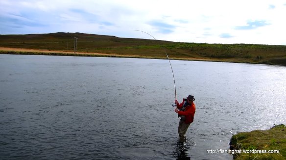 MVI_0295.MOV (0_00_54) 000128