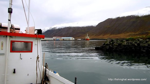 MVI_0517.MOV (0_00_04) 000210