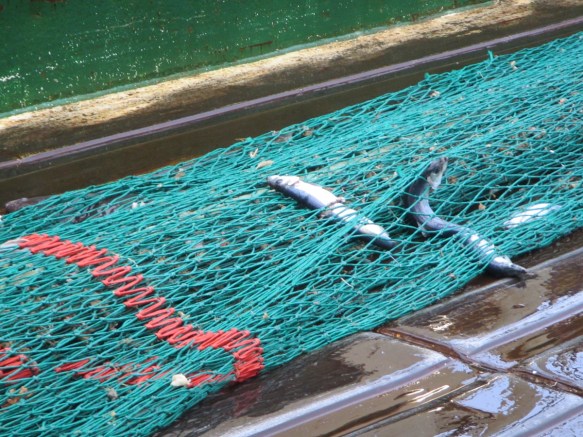 ???????????????????????????????