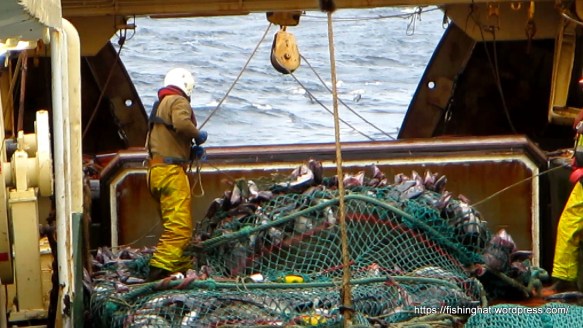 MVI_0808.MOV (0_00_51) 000064