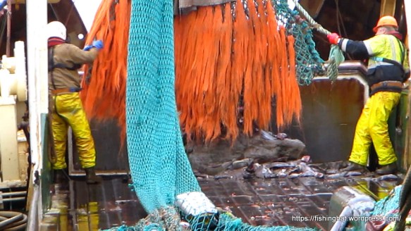 MVI_0808.MOV (0_01_31) 000065