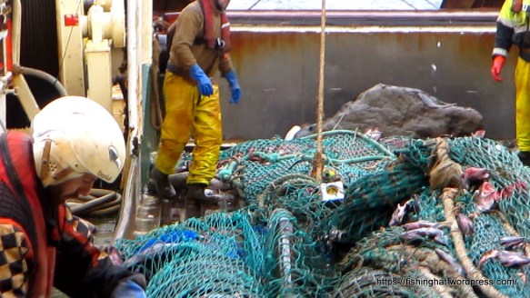 MVI_0808.MOV (0_02_08) 000066