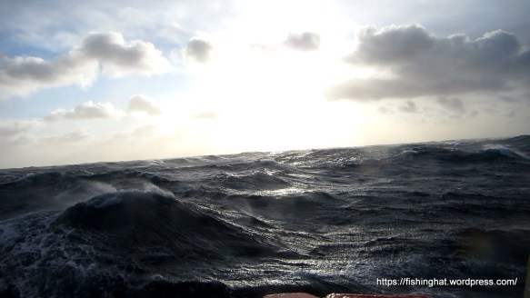 MVI_0854.MOV (0_00_08) 000068