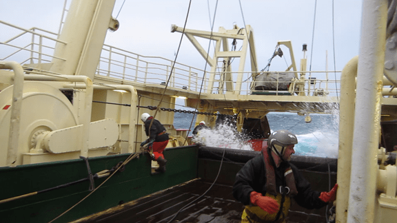 vlcsnap-2014-10-08-04h36m32s222