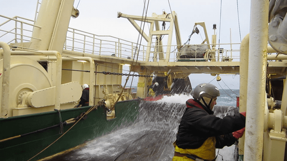 vlcsnap-2014-10-08-04h36m46s143