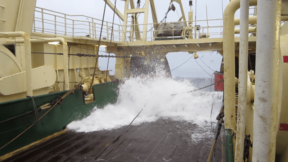 vlcsnap-2014-10-08-04h37m42s213