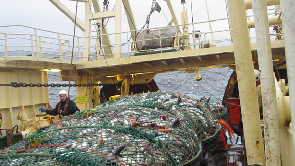 vlcsnap-2014-10-08-04h43m50s35