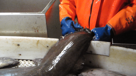 vlcsnap-2014-10-25-12h32m42s21