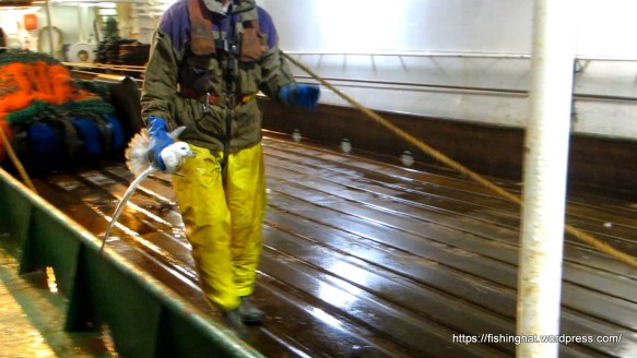 MVI_1210.MOV (0_00_45) 000069