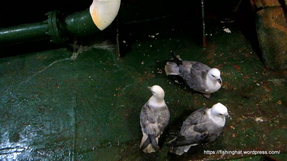 MVI_1217.MOV (0_01_13) 000072