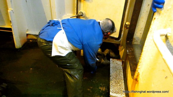 MVI_1218.MOV (0_00_27) 000071