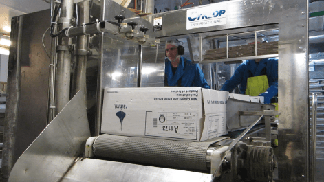 vlcsnap-2014-11-29-07h03m51s6