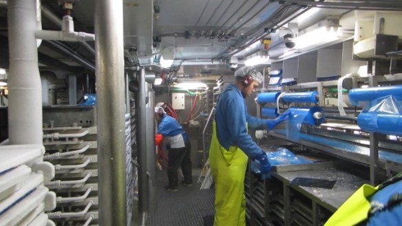 vlcsnap-2014-11-29-07h05m34s66