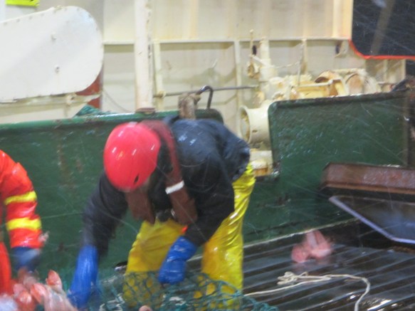 ???????????????????????????????