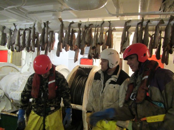 ???????????????????????????????