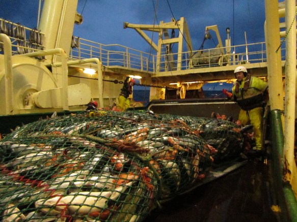 ???????????????????????????????