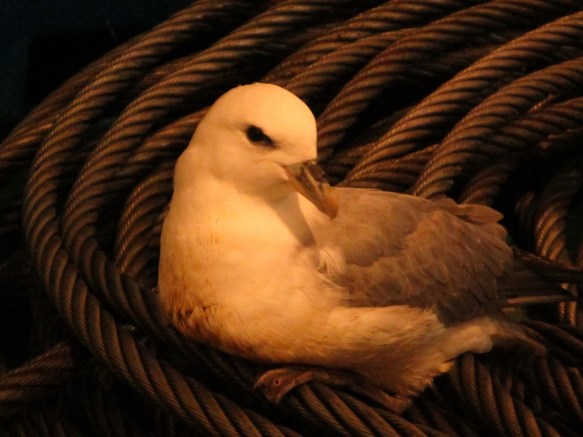 ???????????????????????????????