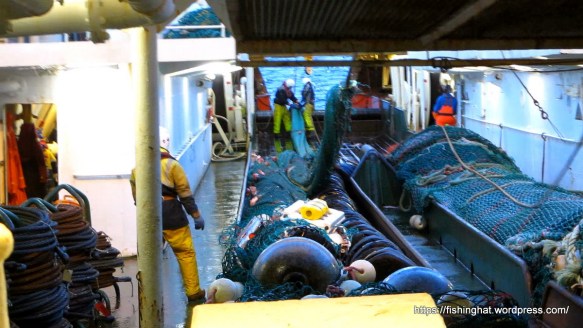 MVI_1252.MOV (0_00_08) 000073-1