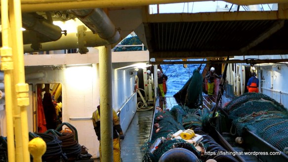 MVI_1252.MOV (0_00_24) 000074-1