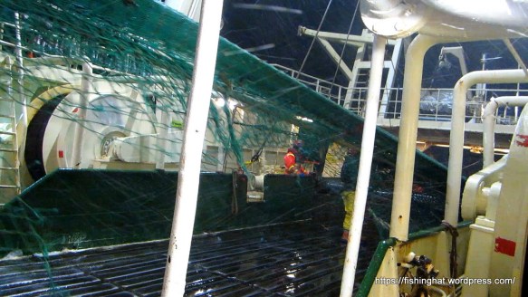 MVI_1401.MOV (0_00_26) 000080