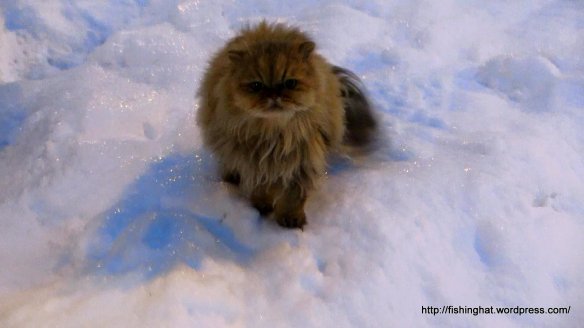 MVI_1787.MOV (0_00_43) 000247