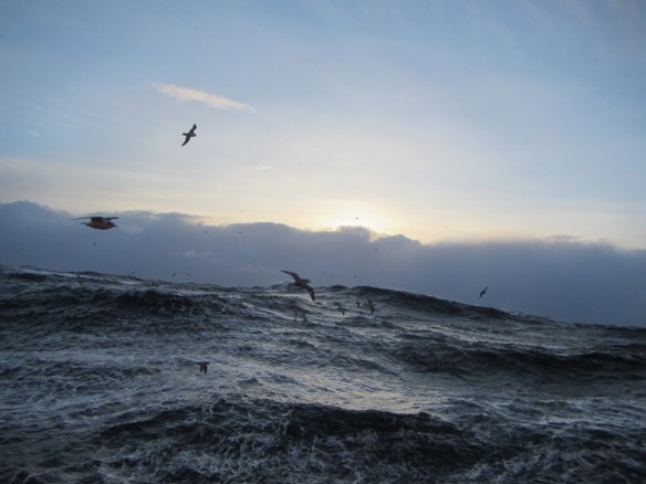 ???????????????????????????????