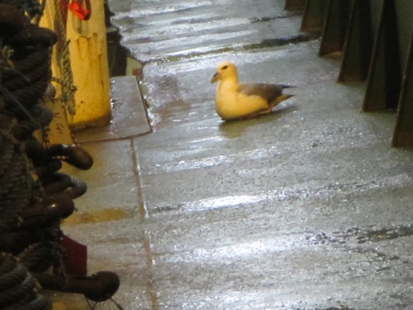 ???????????????????????????????