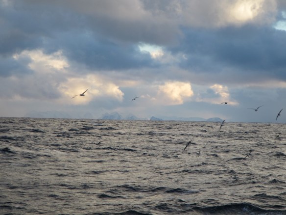 ???????????????????????????????